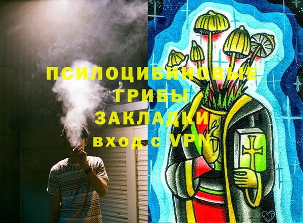 мяу мяу мука Аркадак