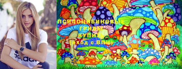 apvp Армянск