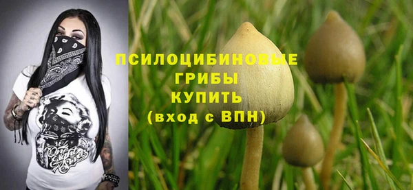 мяу мяу мука Аркадак