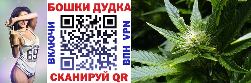 omg ссылка  Сасово  МАРИХУАНА ГИДРОПОН 